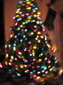 IMG_6632.JPG