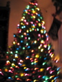 IMG_6649.JPG