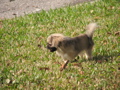 IMG_6913.JPG