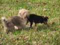 IMG_6919.JPG