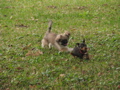 IMG_6924.JPG