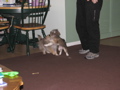 IMG_6476.JPG