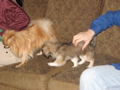 IMG_6478.JPG
