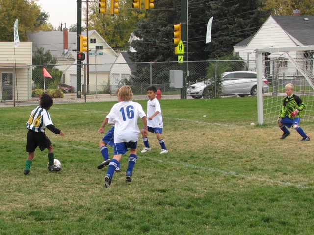 IMG_8219.JPG