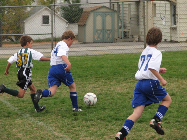 IMG_8260.JPG