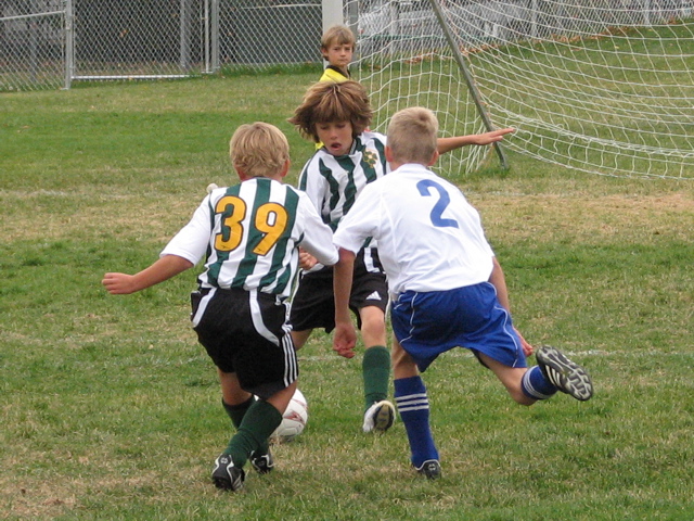 IMG_7967.JPG