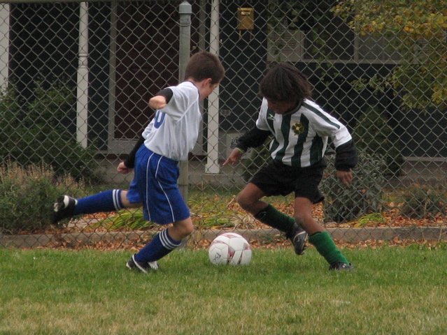 IMG_7976.JPG