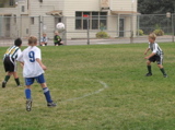 IMG_7928.JPG