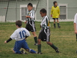 IMG_8161.JPG