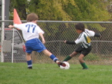 IMG_7932.JPG