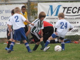 IMG_8202.JPG