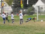 IMG_8225.JPG