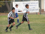 IMG_7944.JPG