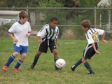 IMG_7951.JPG