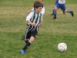 IMG_7966.JPG