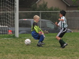 IMG_8006.JPG