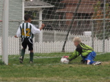 IMG_8012.JPG