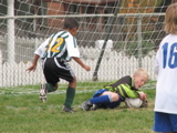 IMG_8019.JPG