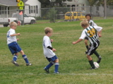 IMG_8063.JPG