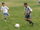 IMG_8065.JPG