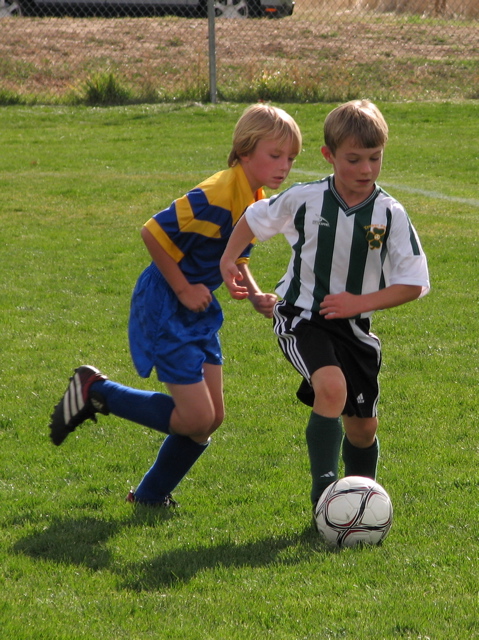 IMG_8803.JPG