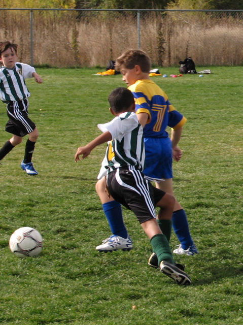IMG_8645.JPG
