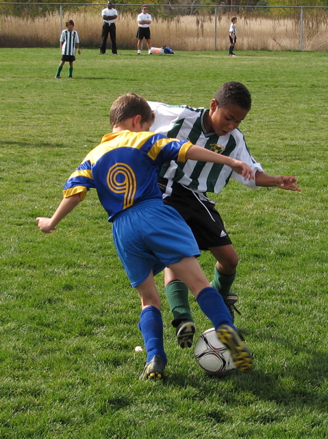 IMG_8649.JPG