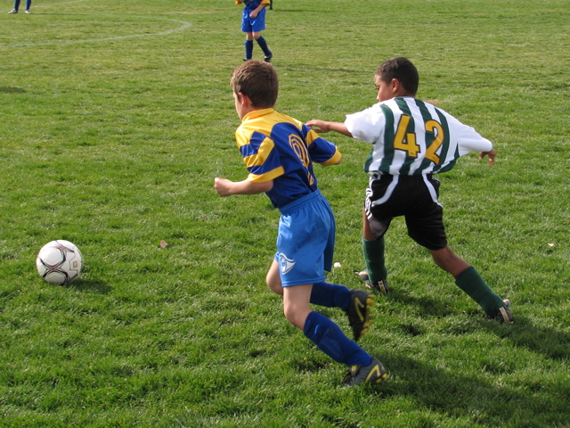 IMG_8650.JPG