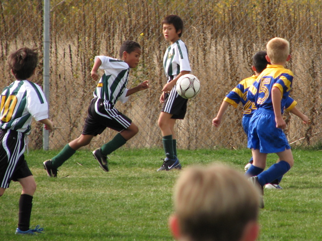 IMG_8665.JPG