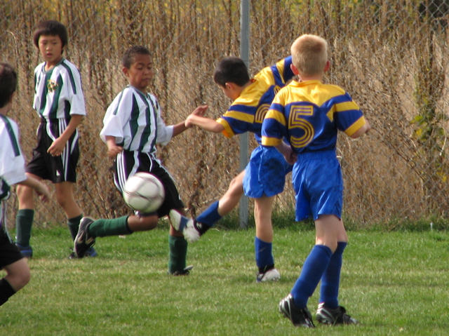 IMG_8666.JPG