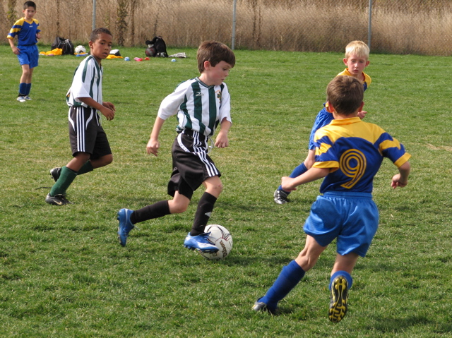 IMG_8673.JPG