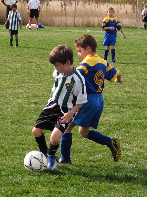 IMG_8676.JPG