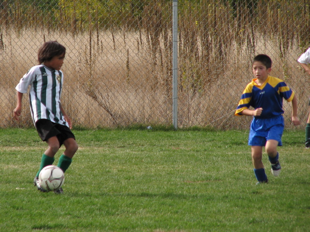 IMG_8690.JPG