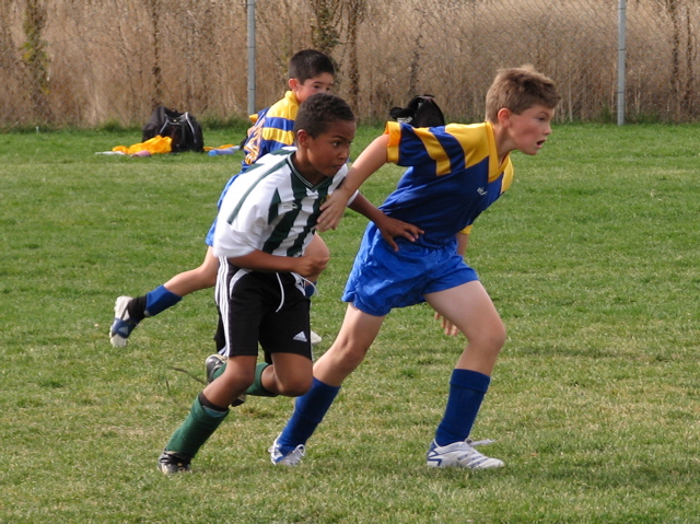 IMG_8729.JPG