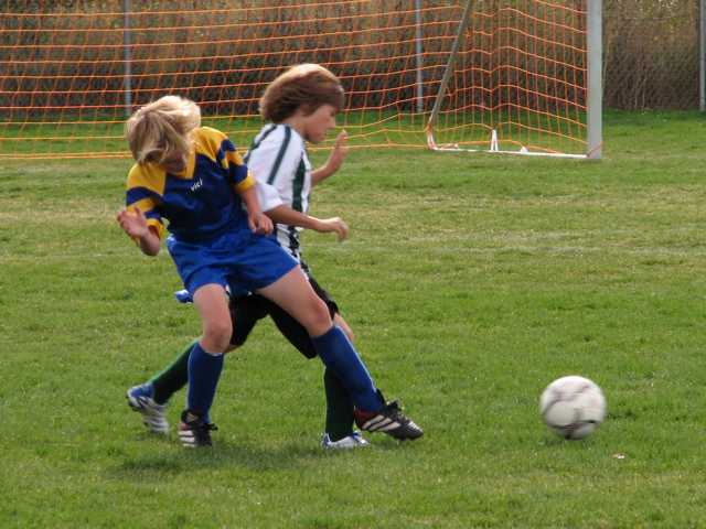 IMG_8743.JPG