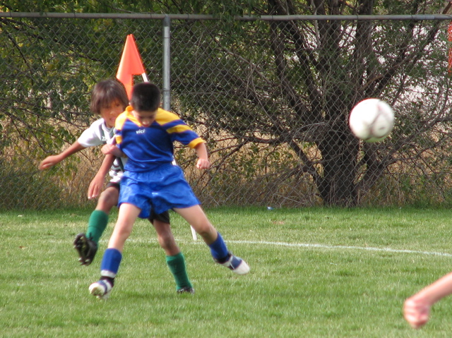 IMG_8746.JPG