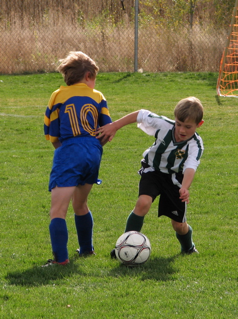IMG_8775.JPG