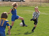 IMG_8781.JPG
