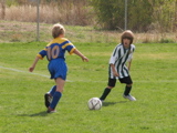 IMG_8810.JPG