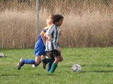 IMG_8638.JPG