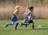 IMG_8639.JPG