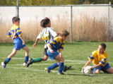 IMG_8640.JPG