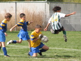 IMG_8641.JPG