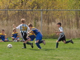IMG_8642.JPG