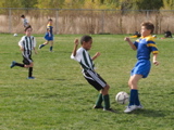IMG_8644.JPG