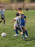 IMG_8645.JPG