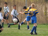 IMG_8666.JPG
