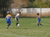IMG_8669.JPG