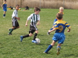 IMG_8673.JPG