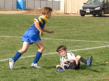 IMG_8679.JPG